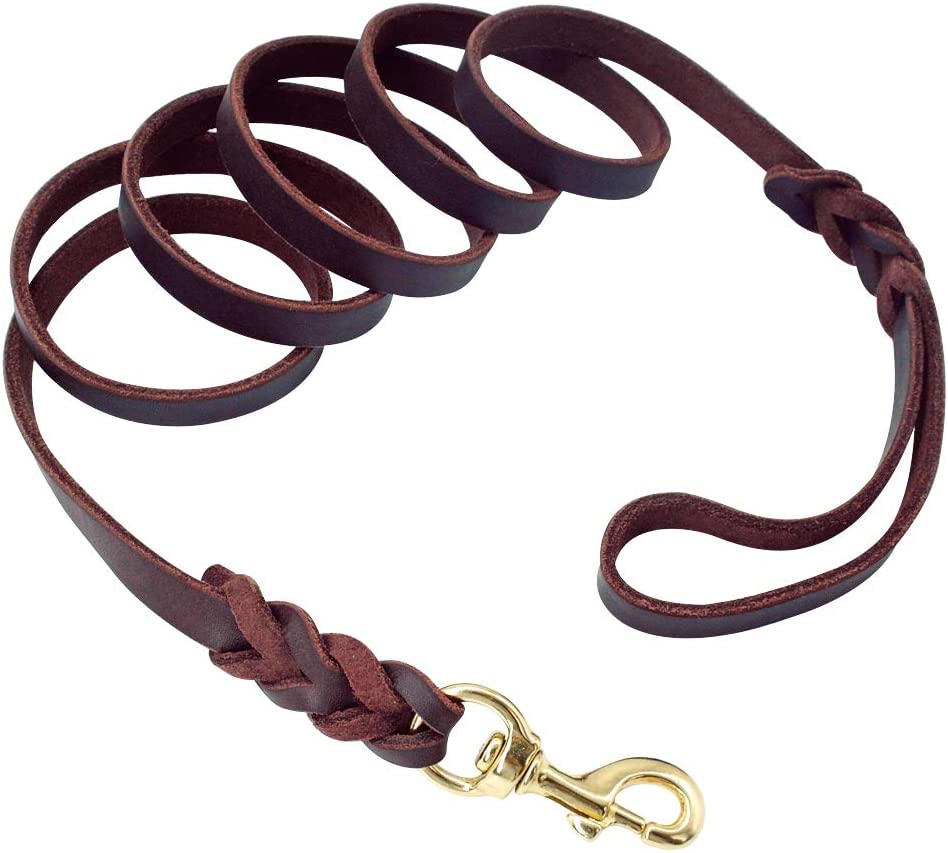 Leather Dog Leash