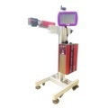 High Speed Laser Printer for Assembly Line Automatic Marking1