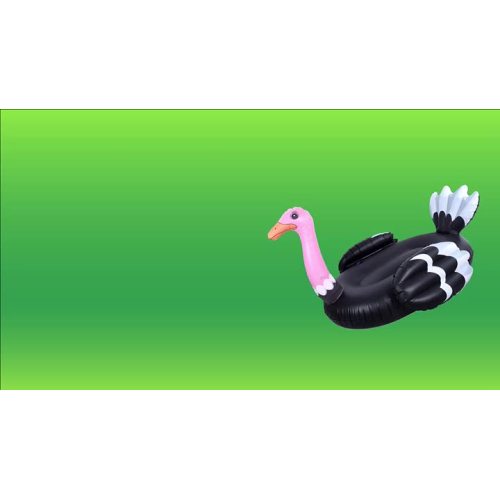 inflatable funny Ostrich pool foat