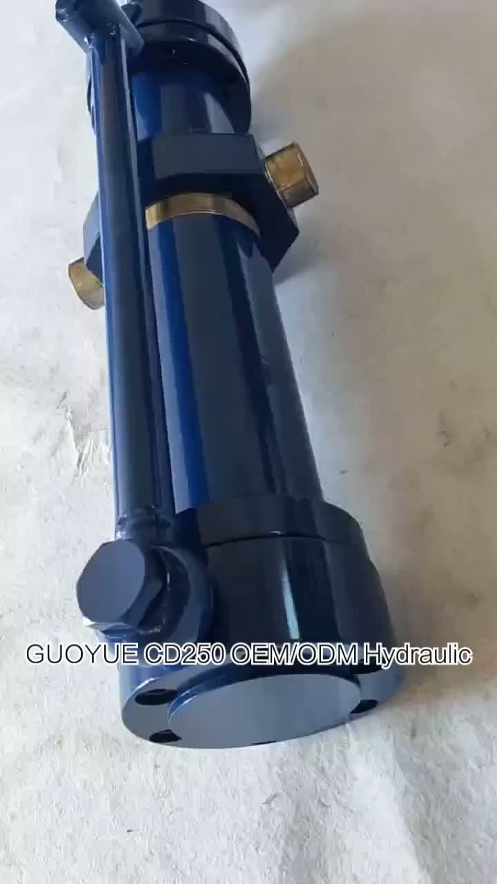 80 56-365 Metallurgical equipment hydraulic cylinder