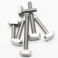 Custom T-Screws: 304 and 316 Stainless Steel M6 and M8 T-Head Bolts1