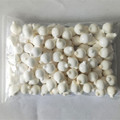 CHXFOAM Floats: Manufacturer of EPS Foam Pompano Rig Floats and Fishing Tackle Accessories1