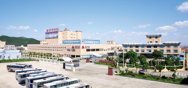 Zhejiang Fudan Tourism Foods Co., Ltd.