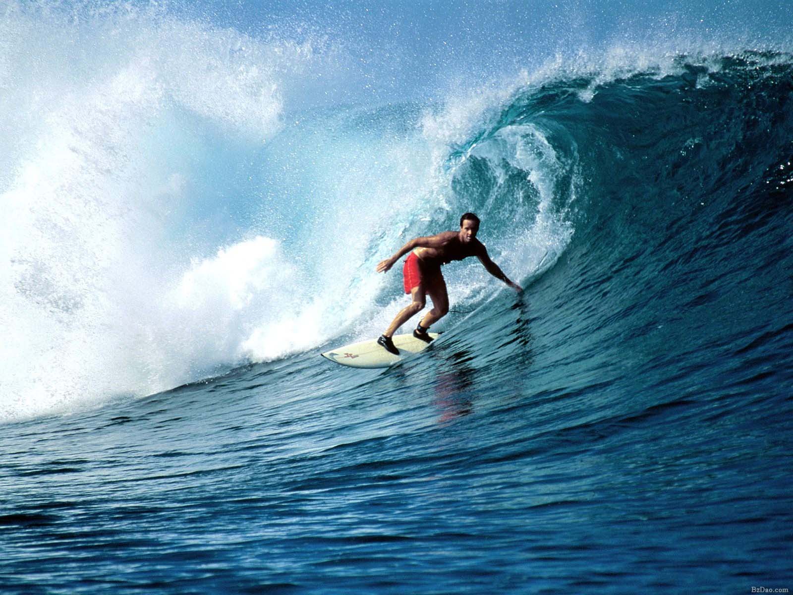 Catch the Wave: Surfing’s Benefits for Body, Mind, and Social Life