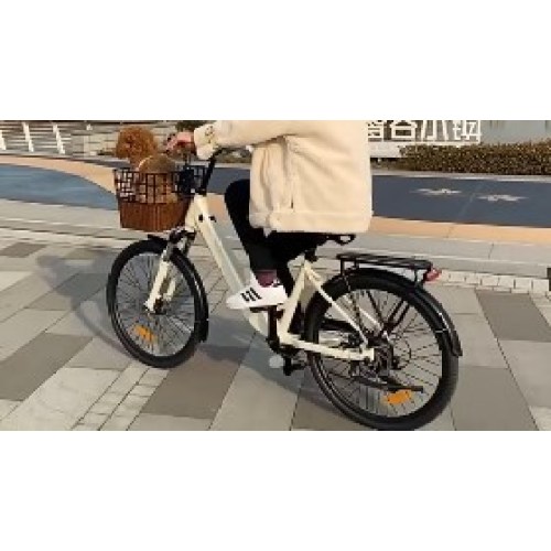 Frauen elektrieren Fahrrad 30 Meilen pro Stunde mit Korb