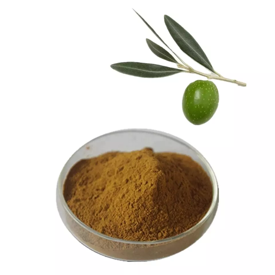 Olive Leaf Extract