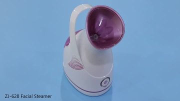 Facial Steamerzj6380