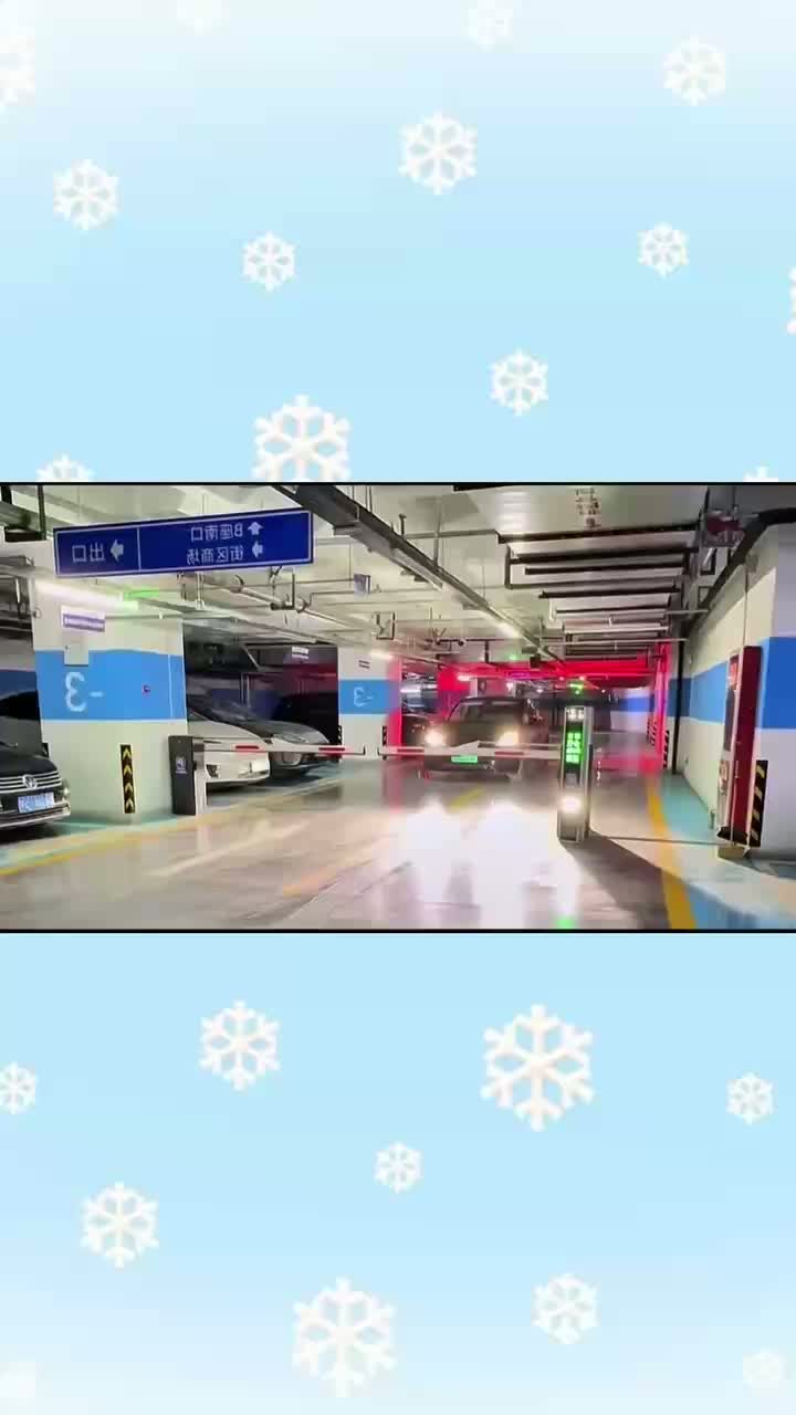 Автобарьерная система затвора