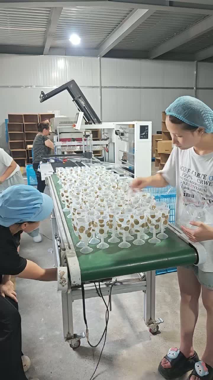 Ruibote'un İçinde: Profesyonel IML Plastik Üretim Hattı