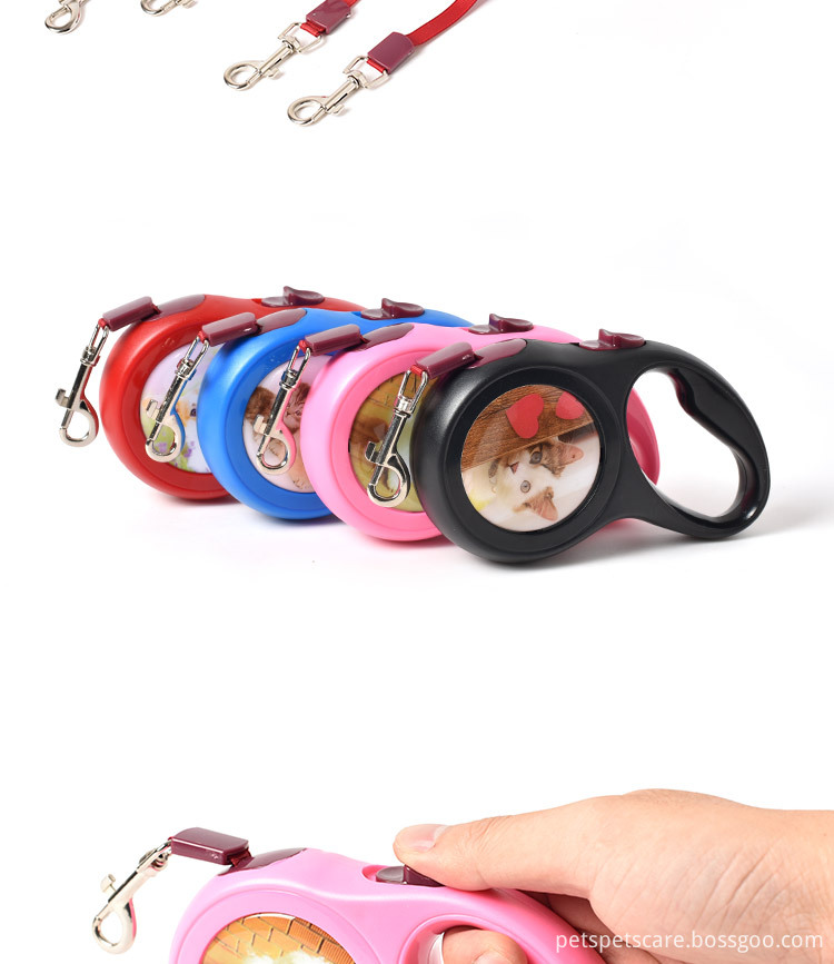 Wholesale Double Hooks Dog Leash With Spring Hook