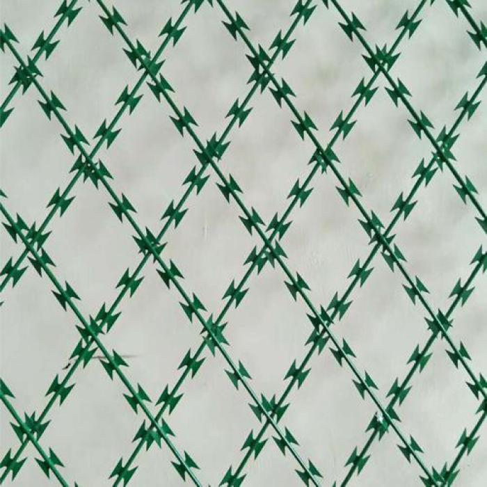 Razor Brabed Wire (1)