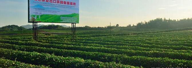 HUNAN MEETEA CO.,LTD