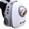 Portable Foldable Breathable Cat Bag - Single Shoulder Pet Messenger Bag1