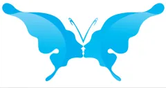 MJ butterfly