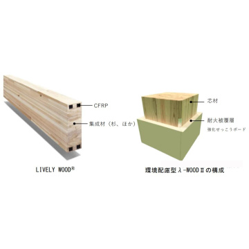 Kommerzialisierung von Kohlefaserholz -Wohngebäuden