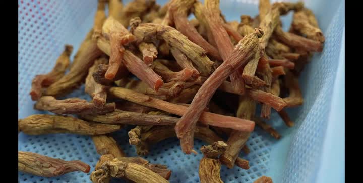 Benefici dell&#39;estratto di ginseng rosso coreano