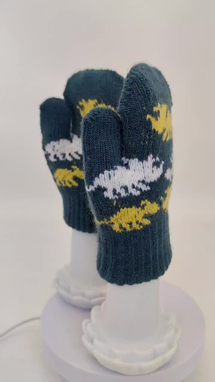 CF-S-0032 knitted gloves (1)