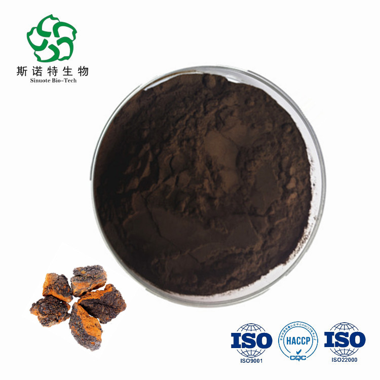 Inonotus obliquus extract Tel 18066731296