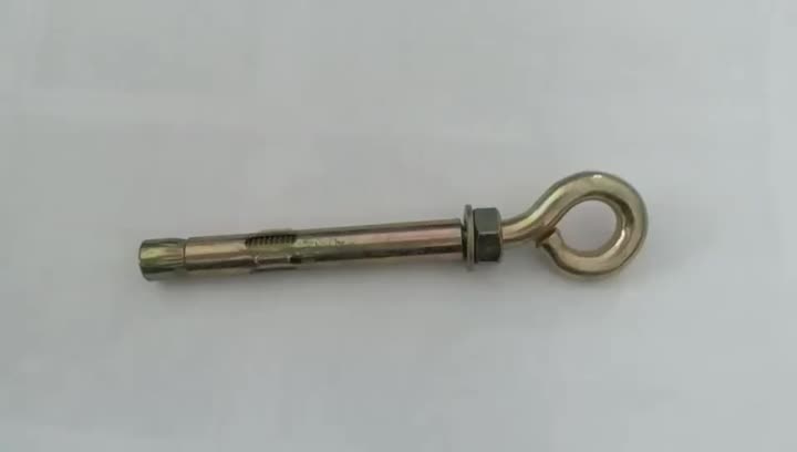 sleeve anchor with eye