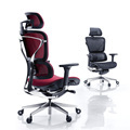 Modern Executive Mesh Ergonomic Office Chair with Lumbar Support - High-End Furniture Supplier1