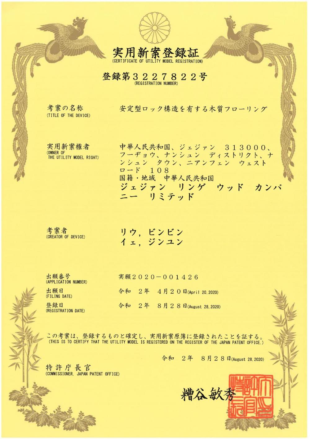 Japan Patent