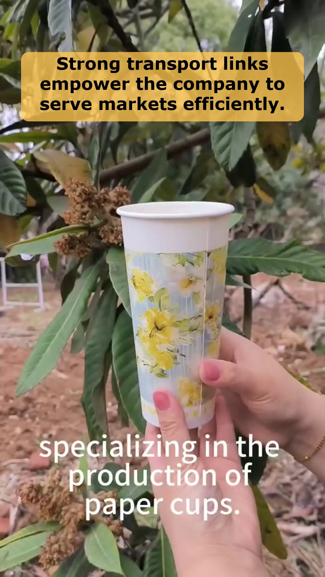 Vídeo 80