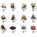 Wholesale Christmas Gifts: WWE Championship Wrestling Clog Silicone Straw Toppers for Boys and Girls1