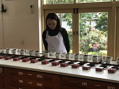 JOY TEA CO., LTD.