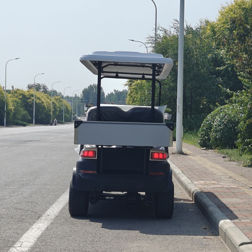 What factors should be paid attention to when replacing Golf Cart batteries?