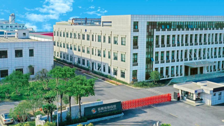 Vidéo d&#39;entreprise1