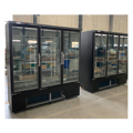 3-4-6 Upright Glass Door Commercial Beverage Chiller Freezer for Convenience Stores1