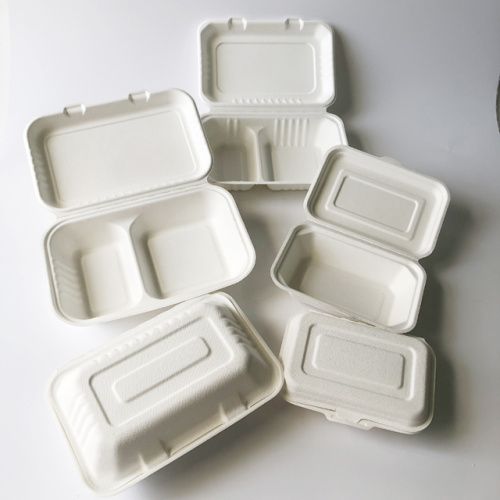 Bagasse Clamshell_x264_x264