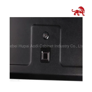 List of Top 10 Gun Pistol Safe Brands Popular in European and American Countries