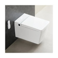 European Luxury Rimless Smart Toilet Bowl with Wall Hung Design1