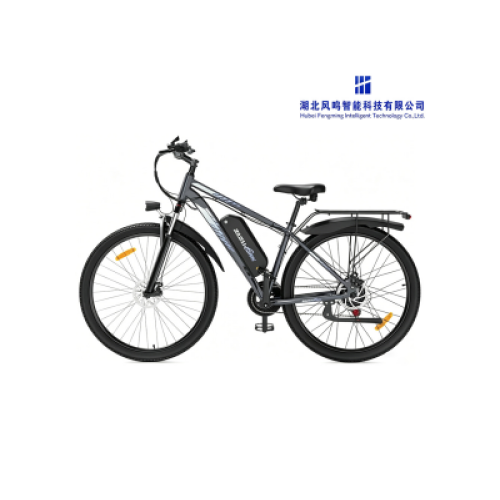 تكشف تقنية Hubei Fengming الذكية عن دراجات كهربائية جديدة طويلة المدى للركاب