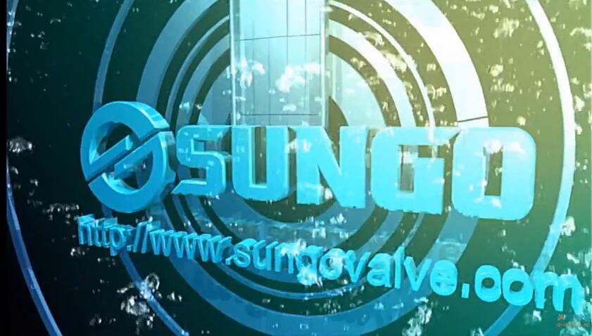 SUNGO VALVES GROUP CO.,LTD