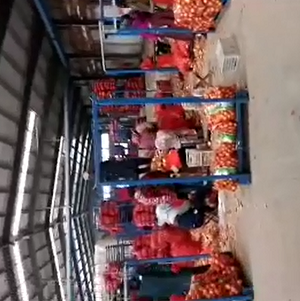 FRESH ONIONS JINING FUYUAN FRUITS AND VEGETABLES CO ,LTD