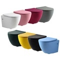 Luxury Bathroom: Easy-Cleaning One Piece Ceramic Wall Hung WC in Multiple Colors1