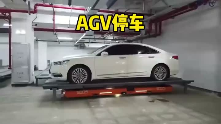 Парковочная тарелка Agv