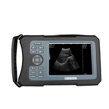 China Top 10 Animal Veterinary Ultrasound Machine Brands