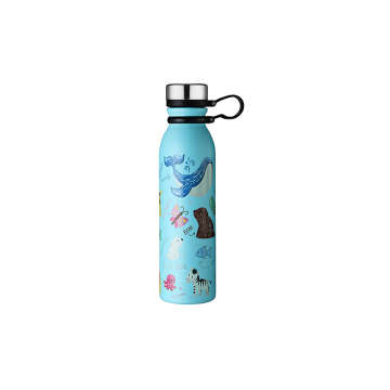 stainless steel fashion sport bottle