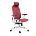 Yushi Luxury Adjustable Full Mesh High Back Swivel Executive Office Chair1