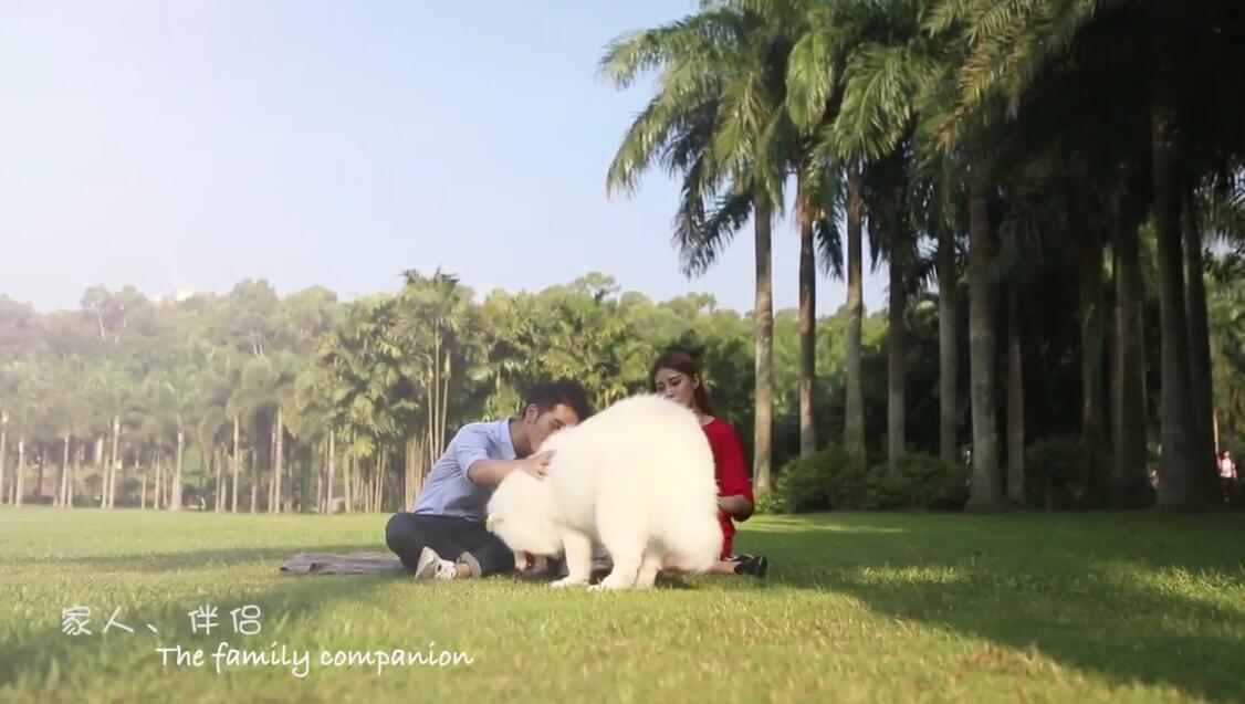 Eastan Pet