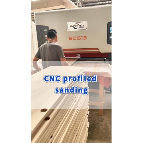 SDS13-Sanding of solid wood door panel white blanks