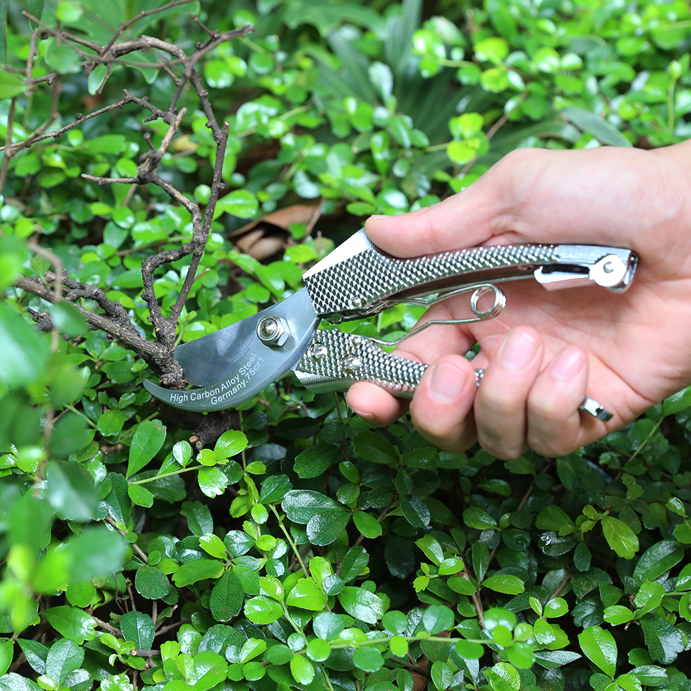 Outils d'élagage de jardin ciseaux de coupe de fleurs poignée cisaille d'arbre professionnel cisaille à fleurs