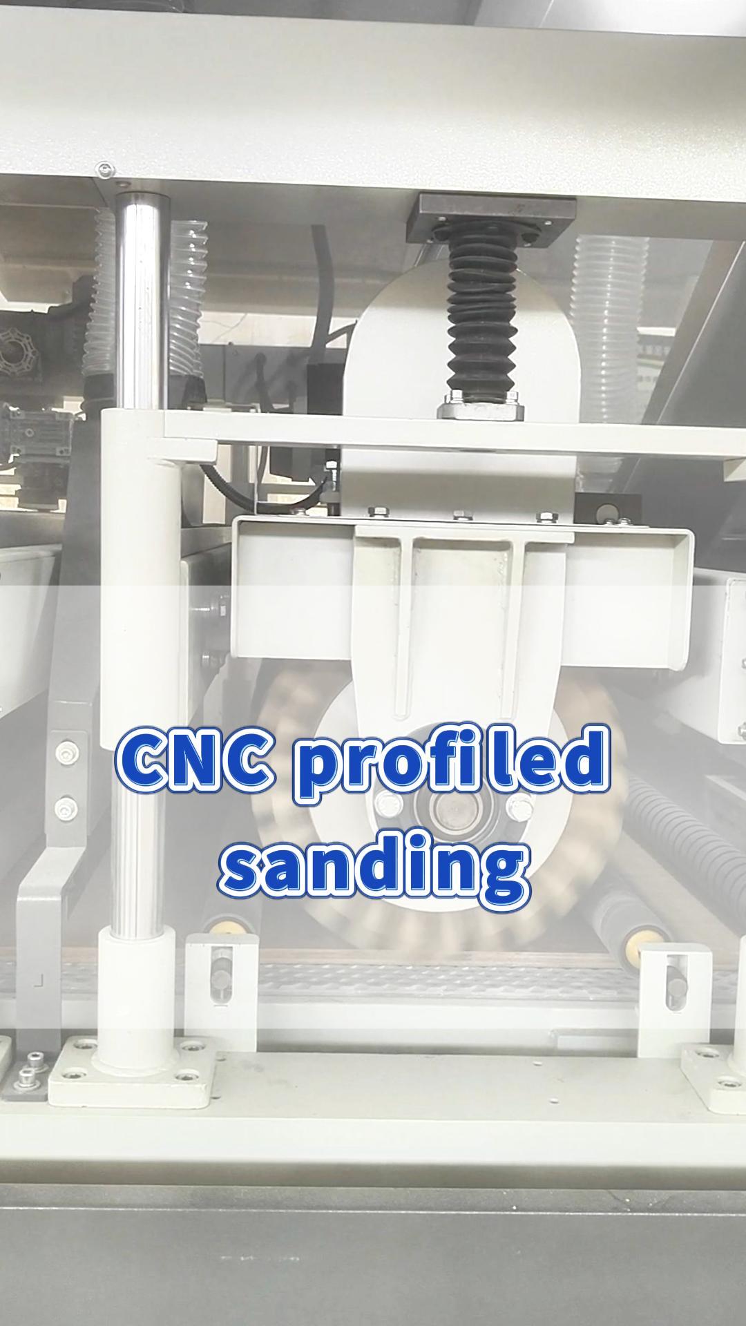 SDS13-Sanding of veneer doors