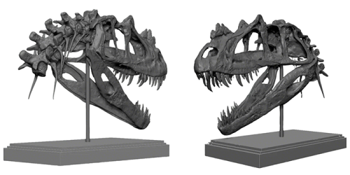 Tại sao các bảo tàng lại bỏ hóa thạch tĩnh cho các triển lãm T-Rex hoạt hình siêu thực
