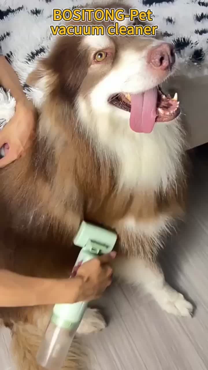 Pet handheld vacuum cleaner