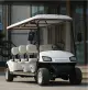 6 carrinhos de golfe de passageiros à venda