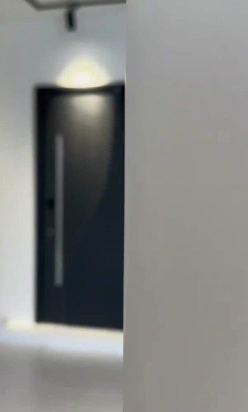 Entrance door
